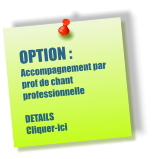 OPTION : Accompagnement par prof de chant professionnelle  DETAILS  Cliquer-ici
